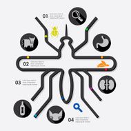 veterinary infographic N65