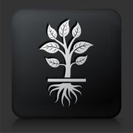 Black Square Button with Growing Plant N12