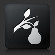 Black Square Button with Pear Branch
