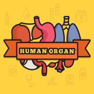 lines style human organs set icons concept vector illustration design N2