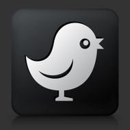 Black Square Button with Talking Bird Icon