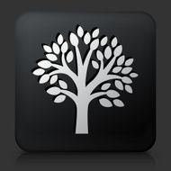 Black Square Button with Tree Icon N38