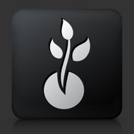 Black Square Button with Plant Growth Icon