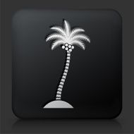 Black Square Button with Palm Tree Icon N24