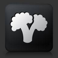 Black Square Button with Broccoli Icon N2