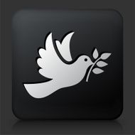 Black Square Button with Dove Icon