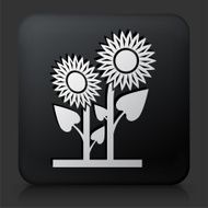 Black Square Button with Sunflower