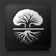 Black Square Button with Tree Icon N40