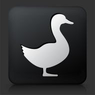 Black Square Button with Duck Icon