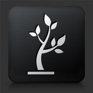 Black Square Button with Tree Icon N41