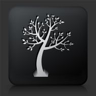 Black Square Button with Tree Icon N43