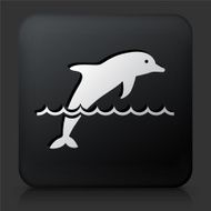 Black Square Button with Dolphin