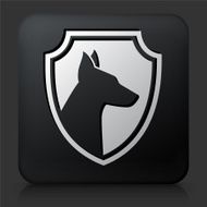 Black Square Button with Pet Health N2