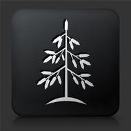 Black Square Button with Christmas Tree Icon N6