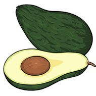 Vector Cartoon Avocado