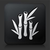 Black Square Button with Bamboo