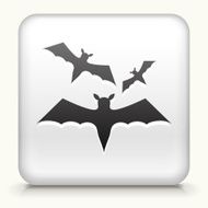 White Square Button with Three Bats Flying