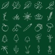 Vector Plants Icons N2