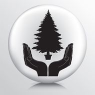 Pair of hands cupping a Christmas tree