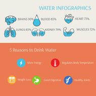 Water in Human Body Infographics Vector N2