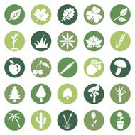 Vector Set of Plants Icons N6