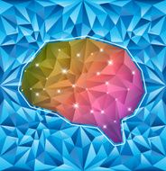 Brain N49