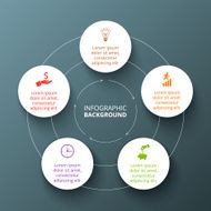 Vector circle infographic N77