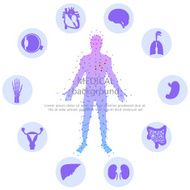 Medical background Human anatomy N6