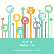 Concept of medical background Human anatomy N6