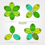 Leaves infographic N12