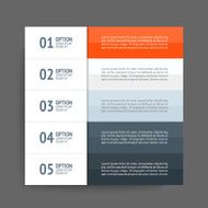 Infographics design template Business concept with 5 options N16