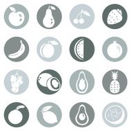 Vector Set of Fruit Icons N21