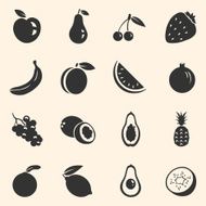 Vector Set of Fruit Icons N22