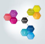 Circle hexagonal scheme chart Infographics flowchart N2