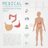 Medical and healthcare infographic N65
