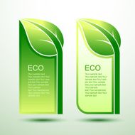 Eco template N5
