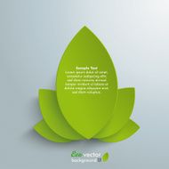 Big Eco Leaves