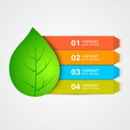 Abstract leaf menu or infographic elements