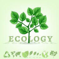 ecology world infographics N2