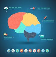Brain idea geometric info graphics template design N2