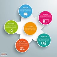 Colored Flower Infographic 5 Options