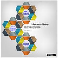 set of modern hexagon infographics options banner N2