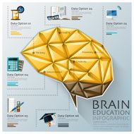 Brain Shape Three Dimension Polygon Education Infographic N2