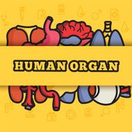 lines style human organs set icons concept vector illustration design N3