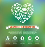 vegetarian and vegan healthy organic infographic N3