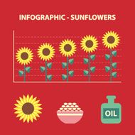 sunflower infographic