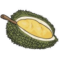 Vector Cartoon Durian