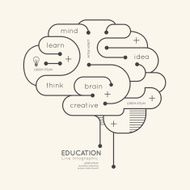 Flat linear Infographic Education Outline Brain Concept Vector N4