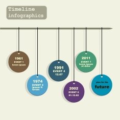 Timeline Infographic vector design template N12