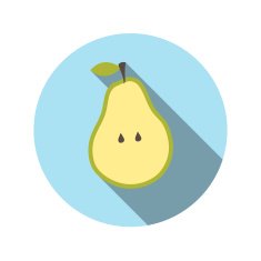 Flat Design Concept Pear Vector Illustration With Long Shadow N2